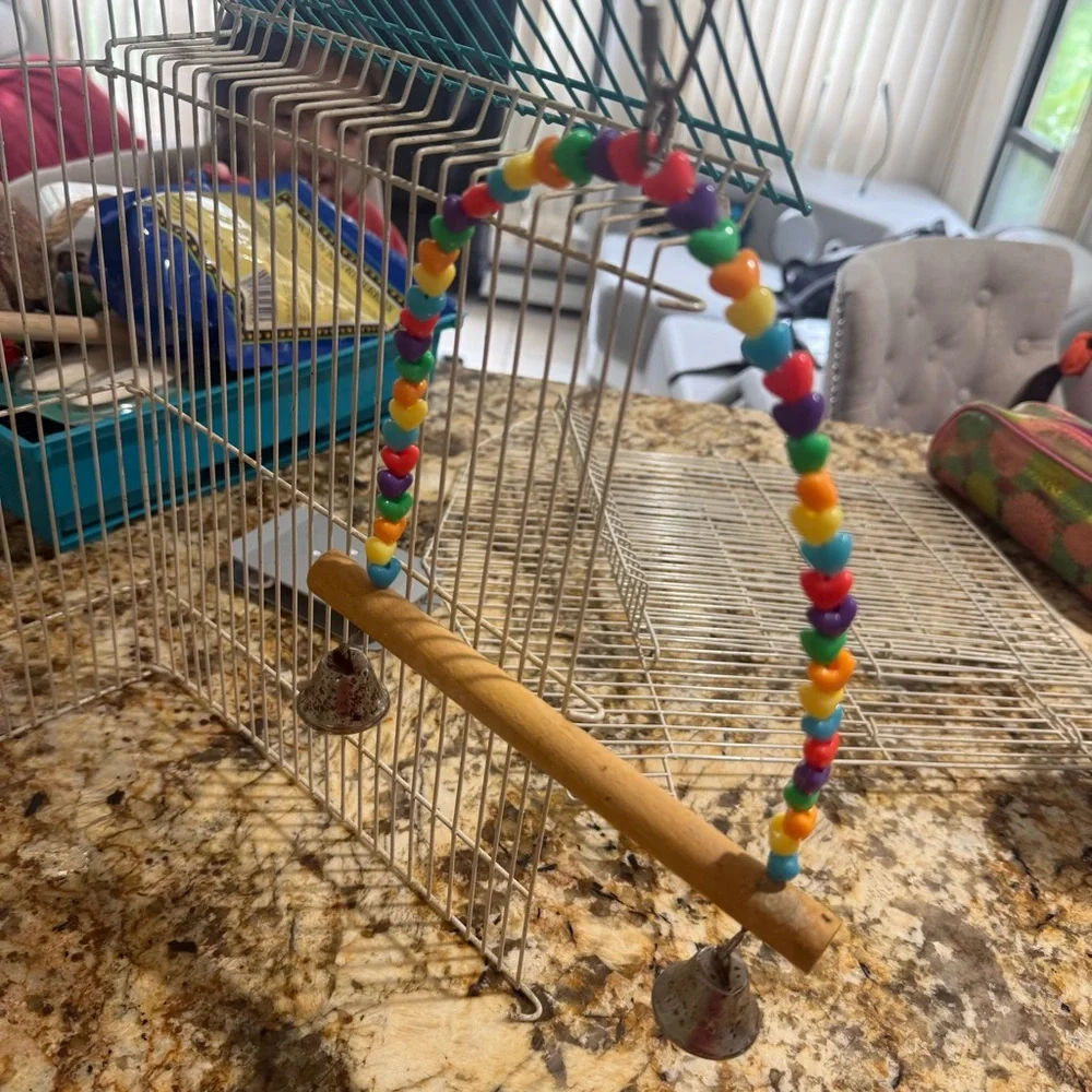 Colorful Hanging Bird Toy Set with Mirror